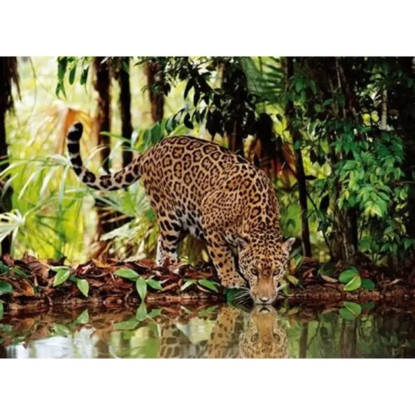 puzzle-Clementoni-dodo.ma