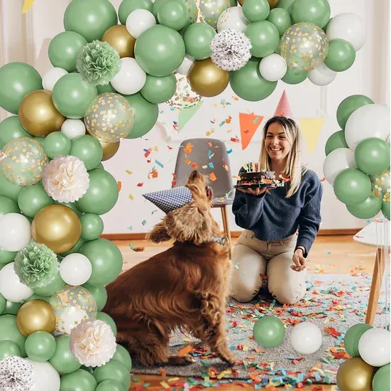 Pack décoration ballons 103pcs dodo.ma