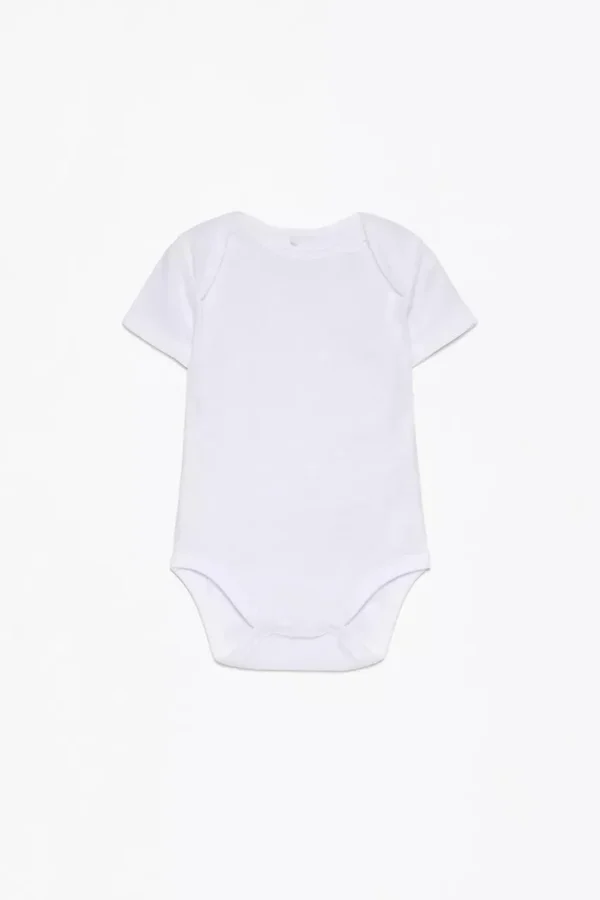 Pack bodies - dodo.ma