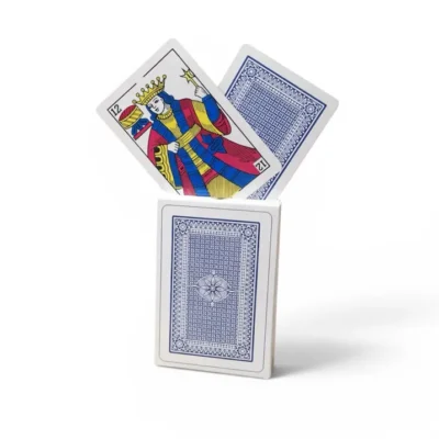 Carte Ronda en plastique- dodo.ma