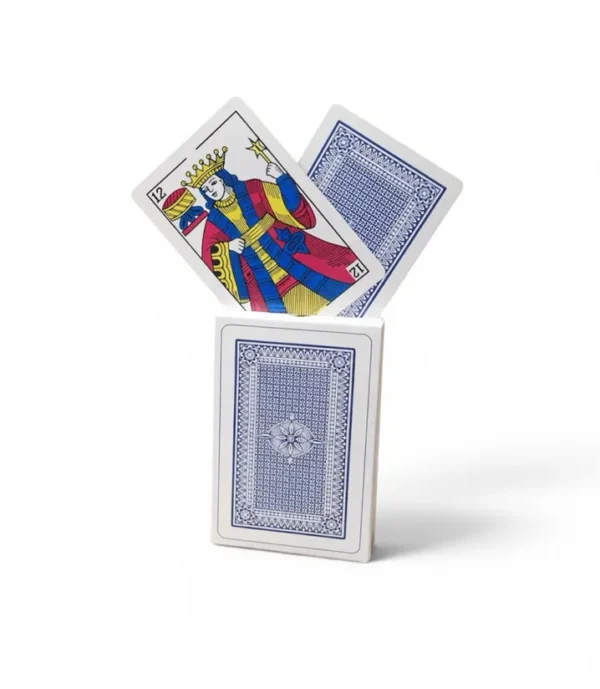 Carte Ronda en plastique- dodo.ma